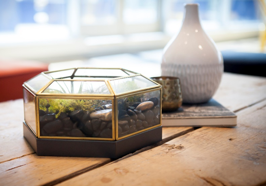 rust-oleum-terrarium-inspirational-project-after