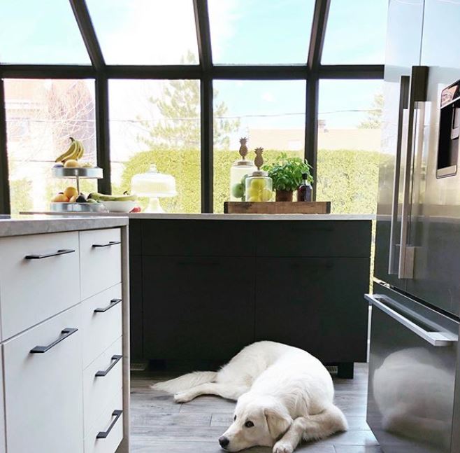 rust-oleum-window-colour-update-inspirational-diy-project-after