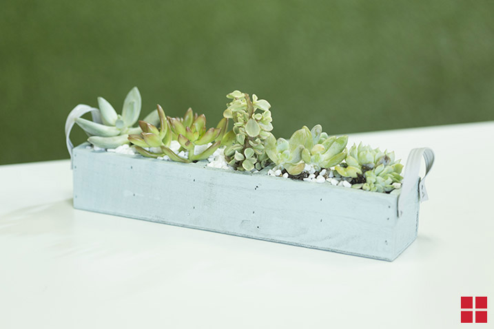 Chalked Mini Crate Project shot
